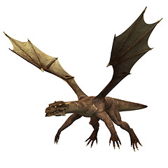 Image showing Dragon