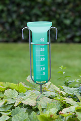 Image showing Green rain meter