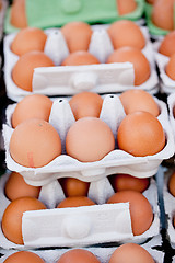 Image showing group of eggs in carton box closeup market outdoor