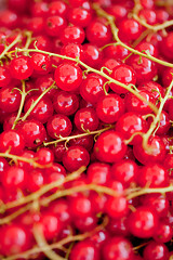 Image showing fresh tasty red currant berries macro closeup on market outdoor