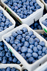 Image showing healthy fresh blueberries macro closeup on market outdoor