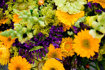 Image showing beautiful colorful collection of flowers spring summer celebration