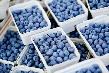 Image showing healthy fresh blueberries macro closeup on market outdoor