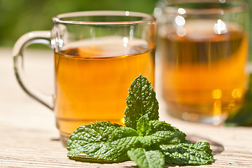 Image showing herbal peppermint tea closeup macro outdoor summer