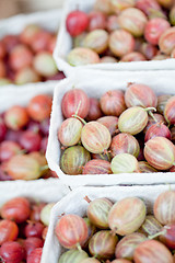 Image showing fresh tasty gooseberries macro closeup on market outdoor