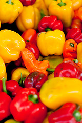 Image showing fresh healthy red yellow geen paprika pepper macro closeup