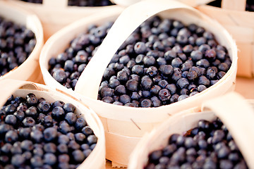 Image showing healthy fresh blueberries macro closeup on market outdoor