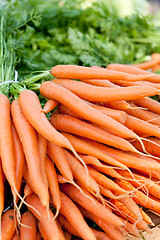 Image showing fresh orange carrots on market in summer