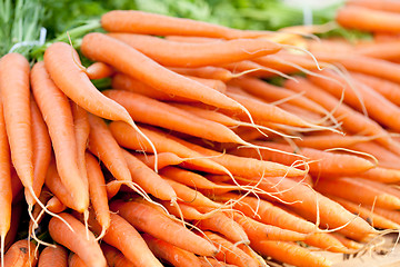 Image showing fresh orange carrots on market in summer