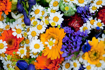 Image showing beautiful colorful collection of flowers spring summer celebration
