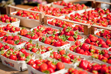 Image showing fresh delicious strawberries macro