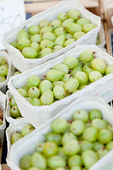 Image showing fresh tasty gooseberries macro closeup on market outdoor