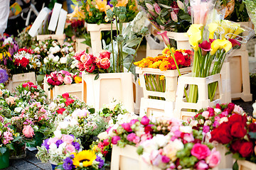 Image showing beautiful colorful collection of flowers spring summer celebration