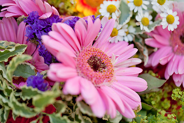 Image showing beautiful colorful collection of flowers spring summer celebration