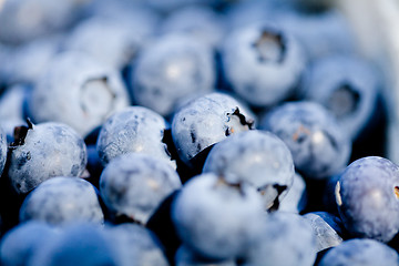 Image showing healthy fresh blueberries macro closeup on market outdoor