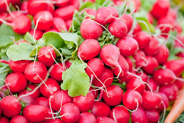 Image showing fresh red raddisch closeup macro outdoor market