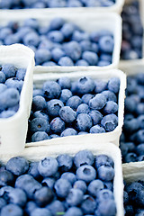 Image showing healthy fresh blueberries macro closeup on market outdoor