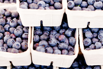 Image showing healthy fresh blueberries macro closeup on market outdoor