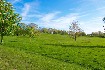 Image showing Primrose Hill, London