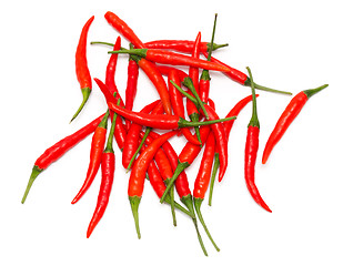 Image showing Red chili peppers