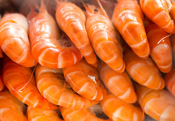 Image showing cooked prawns