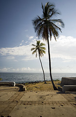 Image showing malecon santo domingo