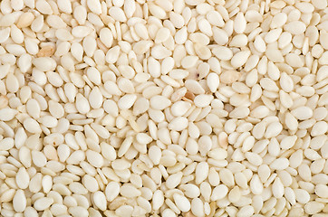 Image showing Background of dried sesame seeds