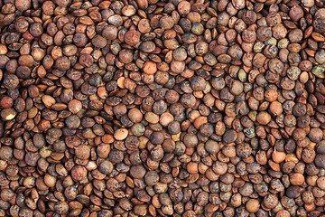 Image showing Background of dried french lentils