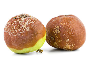 Image showing Two rotten apples