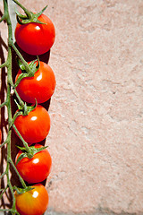 Image showing cherry tomatoes