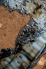 Image showing Oil contaminating the soil