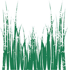 Image showing Grass