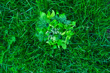 Image showing food greens