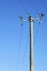 Image showing Powerline on wooden pillar