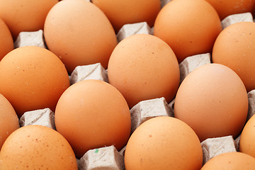 Image showing Farm egg in container
