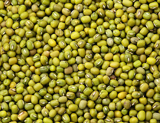 Image showing Mung bean close up