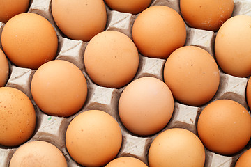 Image showing Farm egg in paper container