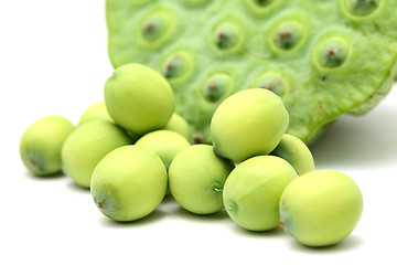 Image showing Fresh lotus seeds and pod 