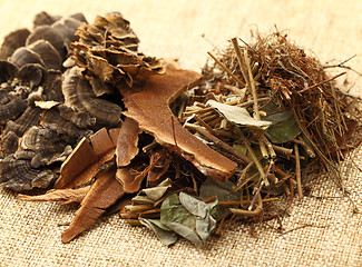 Image showing Dried herbal medicine