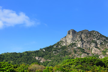 Image showing Lion Rock mountain