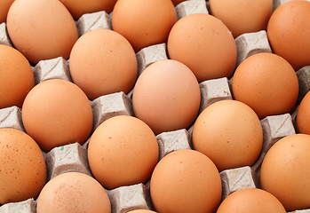 Image showing Farm egg in paper container