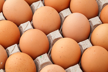 Image showing Heap of farm egg close up 