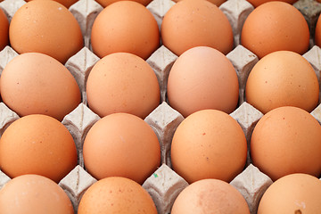 Image showing Heap of farm egg 