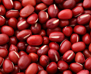 Image showing Adzuki Red Bean