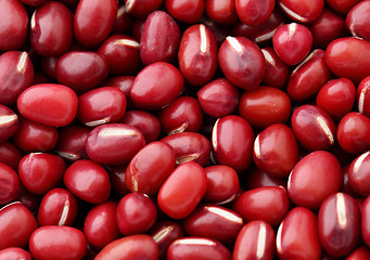 Image showing Adzuki Red Bean close up 