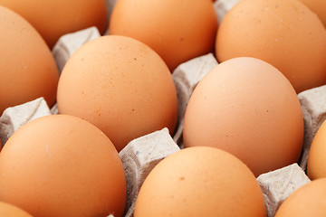 Image showing Farm egg close up 