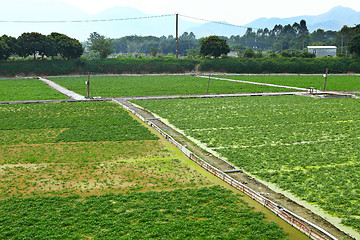 Image showing Farm with sky