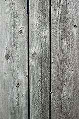 Image showing Knotty wood background