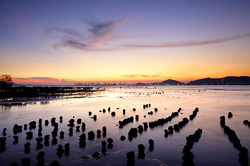 Image showing Sunset coast