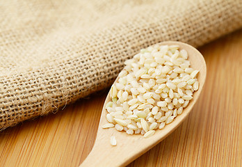 Image showing Uncooked rice on spoon